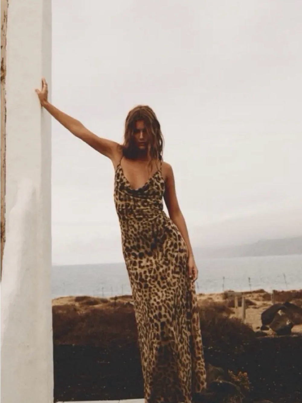 Zara Leopard Print Slip Maxi Dress - Women